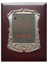 副會(huì)長
